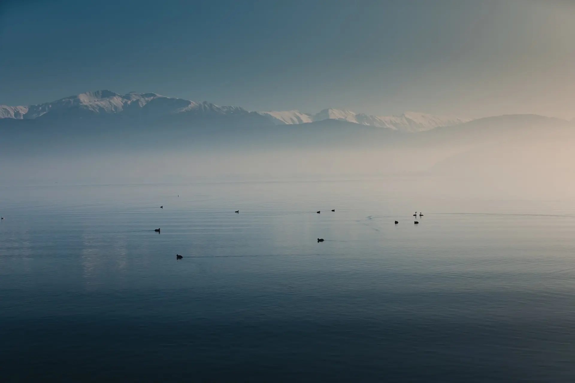 A lake on a foggy morning
